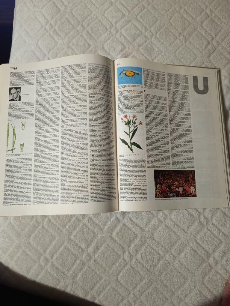 Encyklopedia popularna PWN