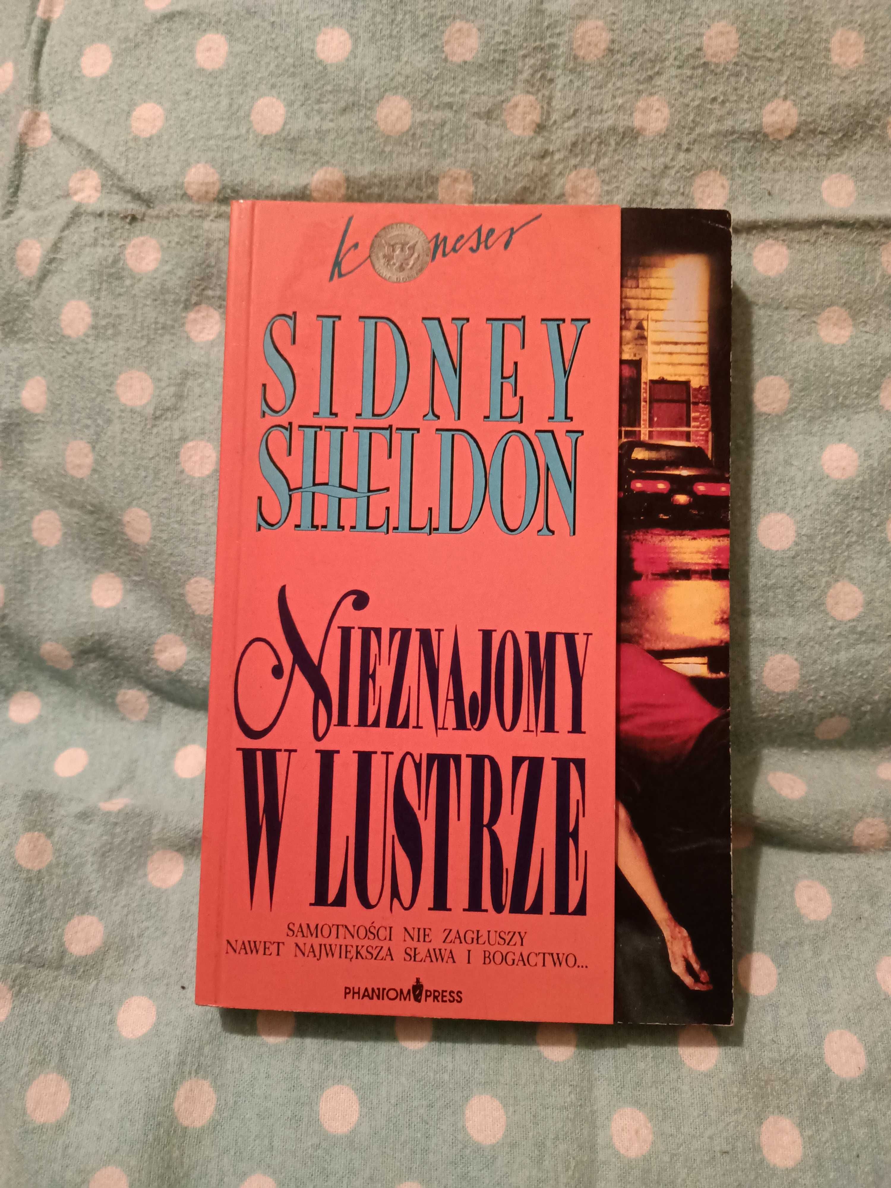 Nieznajomy w lustrze - Sheldon S.