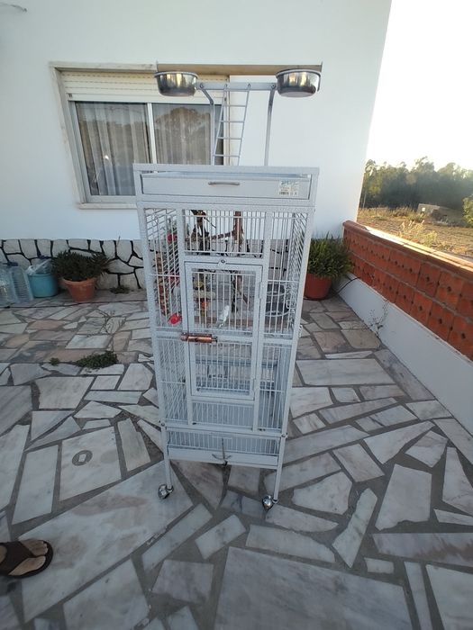 Gaiola para animais