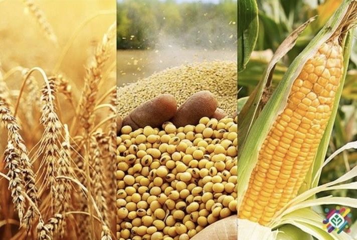 Купівля зернових/ послуги повязані з зерновими