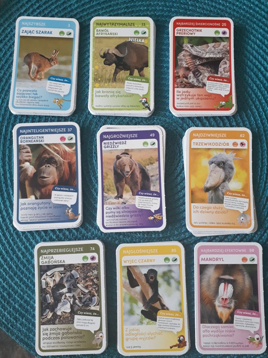 Karty z Biedronki Super zwierzaki