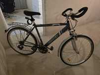 Rower Fischer TRK280 28 cali (700c x 32)