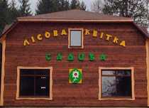 Продається готель  в серці Карпат