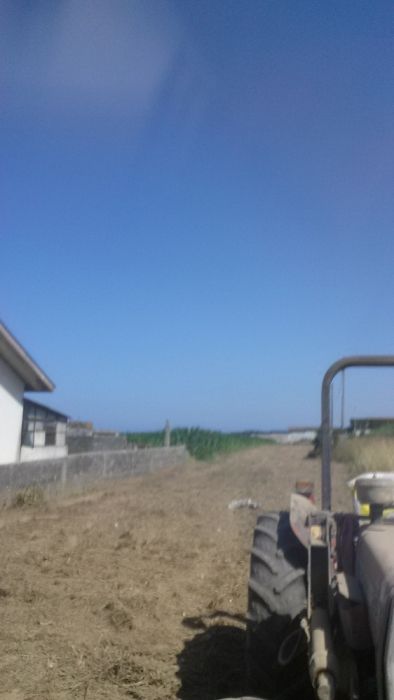 Limpeza de terrenos