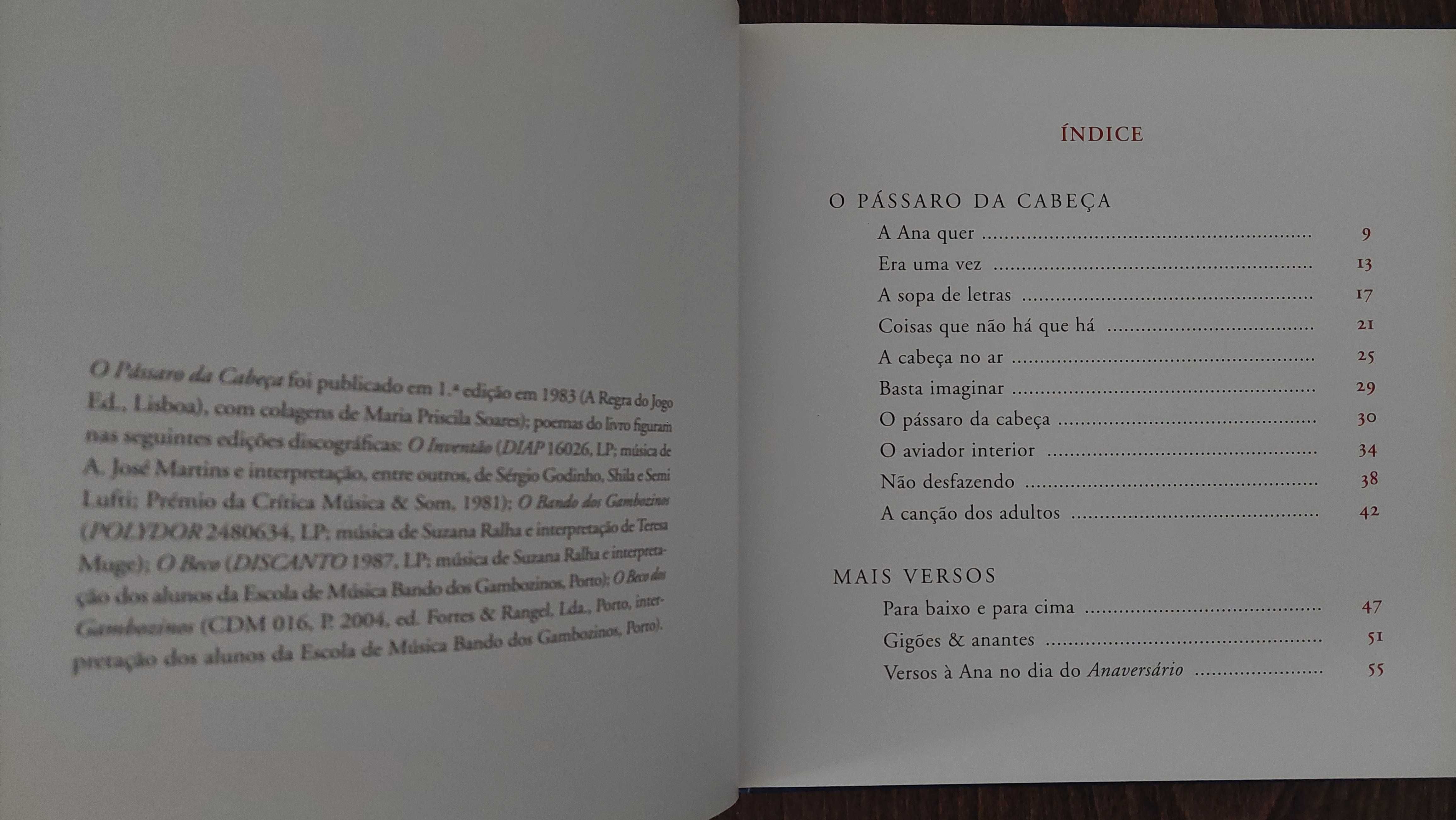 Livro ilustrado para crianças "O Pássaro da Cabeça"