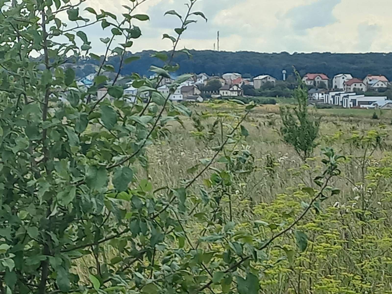 Підгороднє Продається зем. ділянка з лівого боку при вїзді в Тернопіль