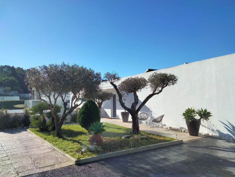 Jardineiro- limpeza e manutenção de jardins