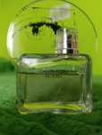 Perfumy Calvin Klein woman