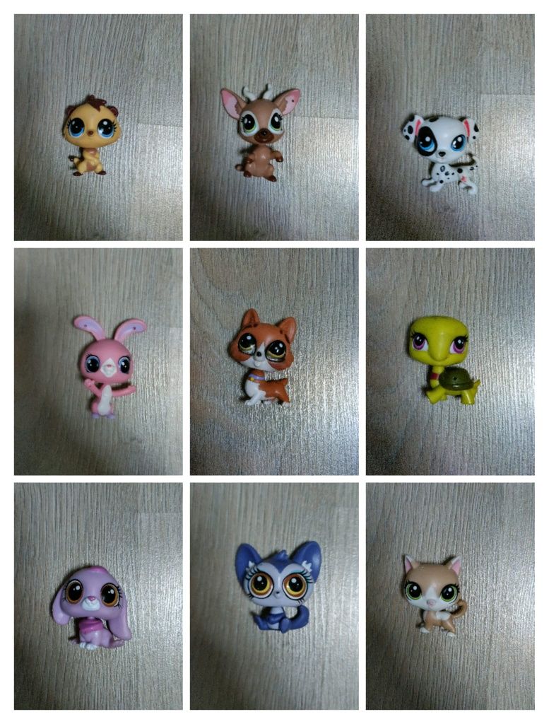 My little pet shop
Lps