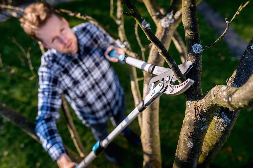Sekator Kowadełkowy Teleskopowy Ideal