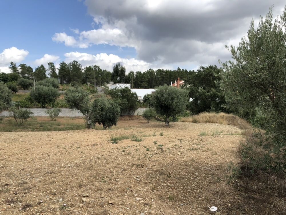 Terreno potencial para turismo rural na chaveira ,Cardigos,Mação