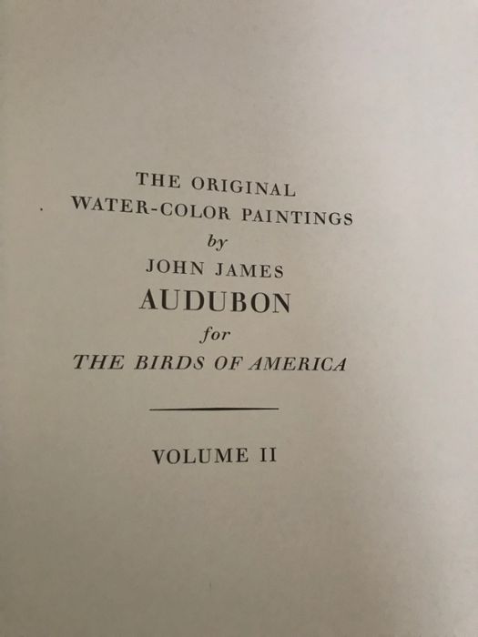 The Original Water-color By John James Anderson (Pássaros América)