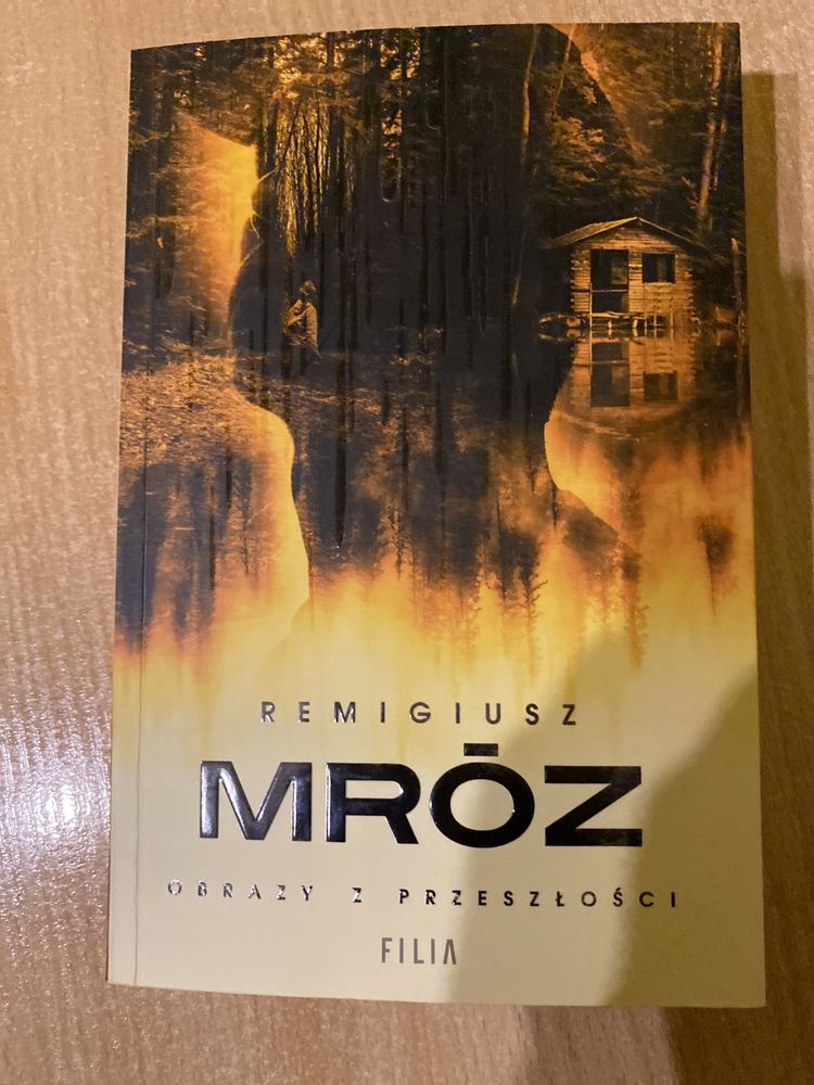 Remigiusz mróz do wyboru