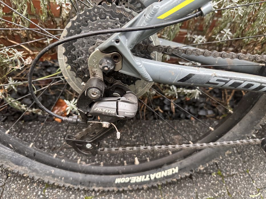 Rower Scott Scale Jr 26