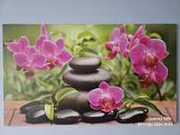 Obraz drukowany na płótnie Orchidea Kamienie