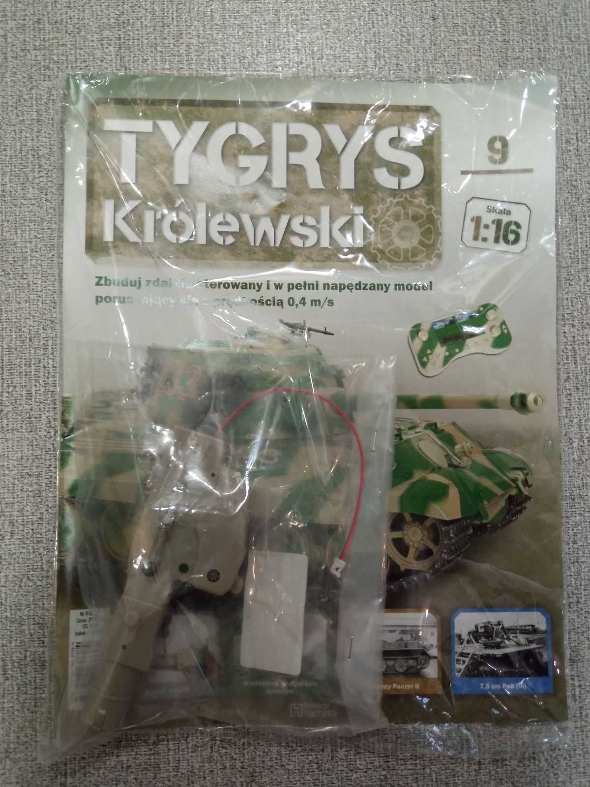 Tygrys Krolewski 9