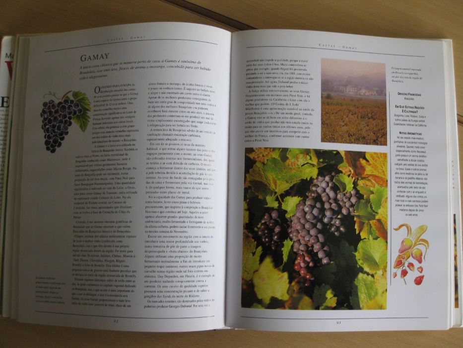 Manual Enciclopédico do Vinho de Stuart Walton