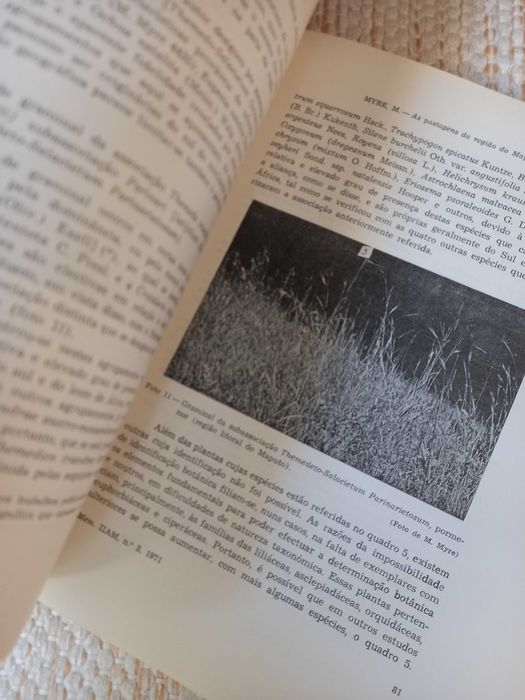 livro antigo As Pastagens da região do Maputo Moçambique Mário Myre