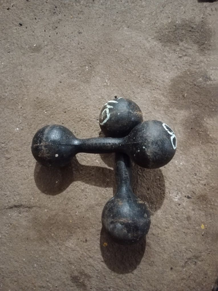 Hantelki 5,8 kg, 6,15 kg.