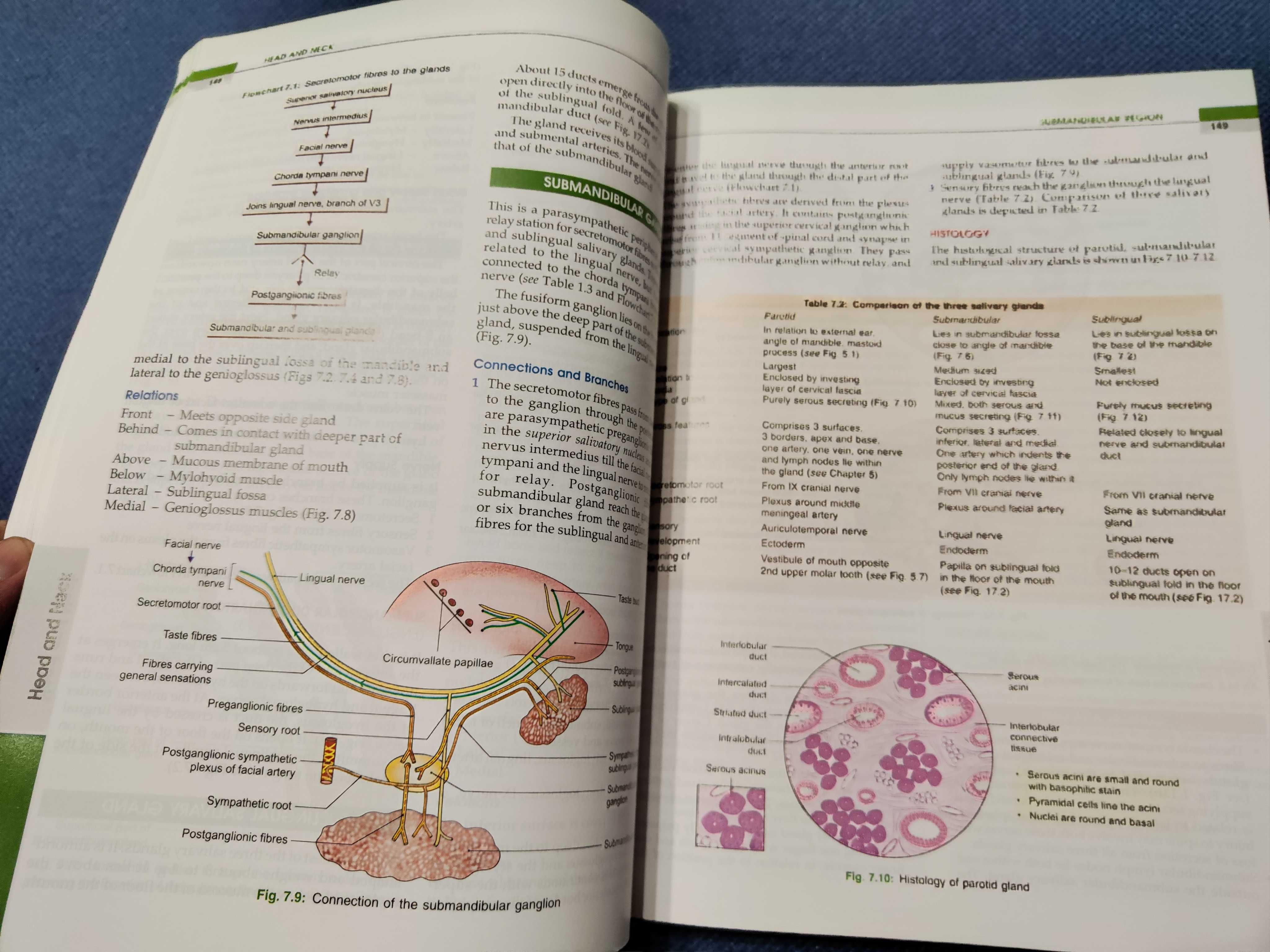 Книга по анатомии human anatomy bd chaurasia volume 3