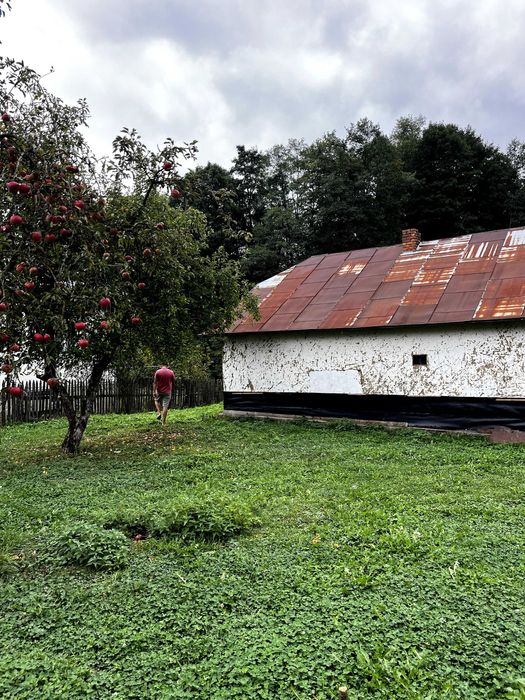 Продаю участок землі у селі Бабче, Богородчанського району