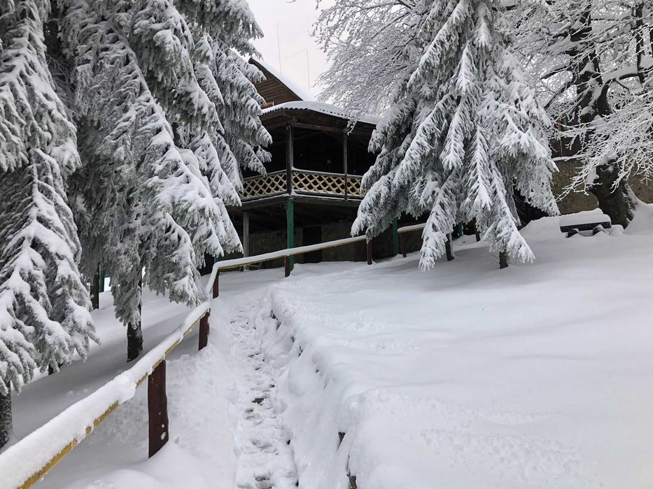 Готель “Карпатські Полонини” | 4 дні/3 ночі для чотирьох від 12900 грн