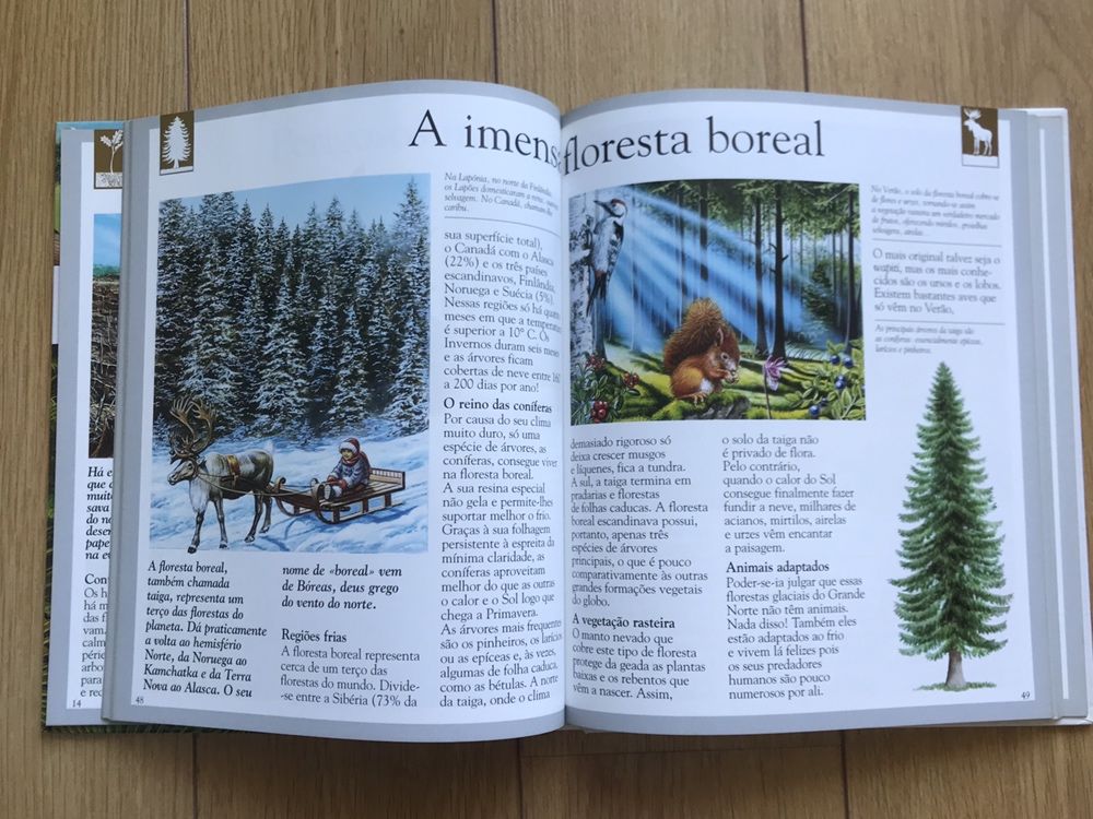 Livro “A Floresta” novo