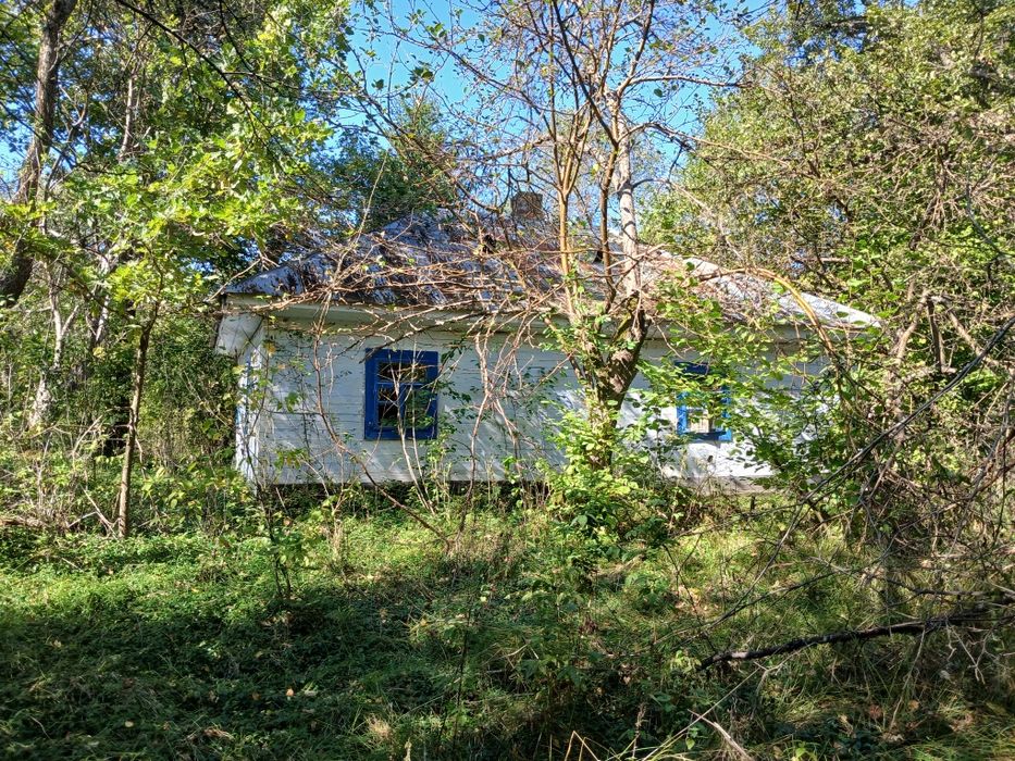 Земельна ділянка та житловий будинок біля лісу