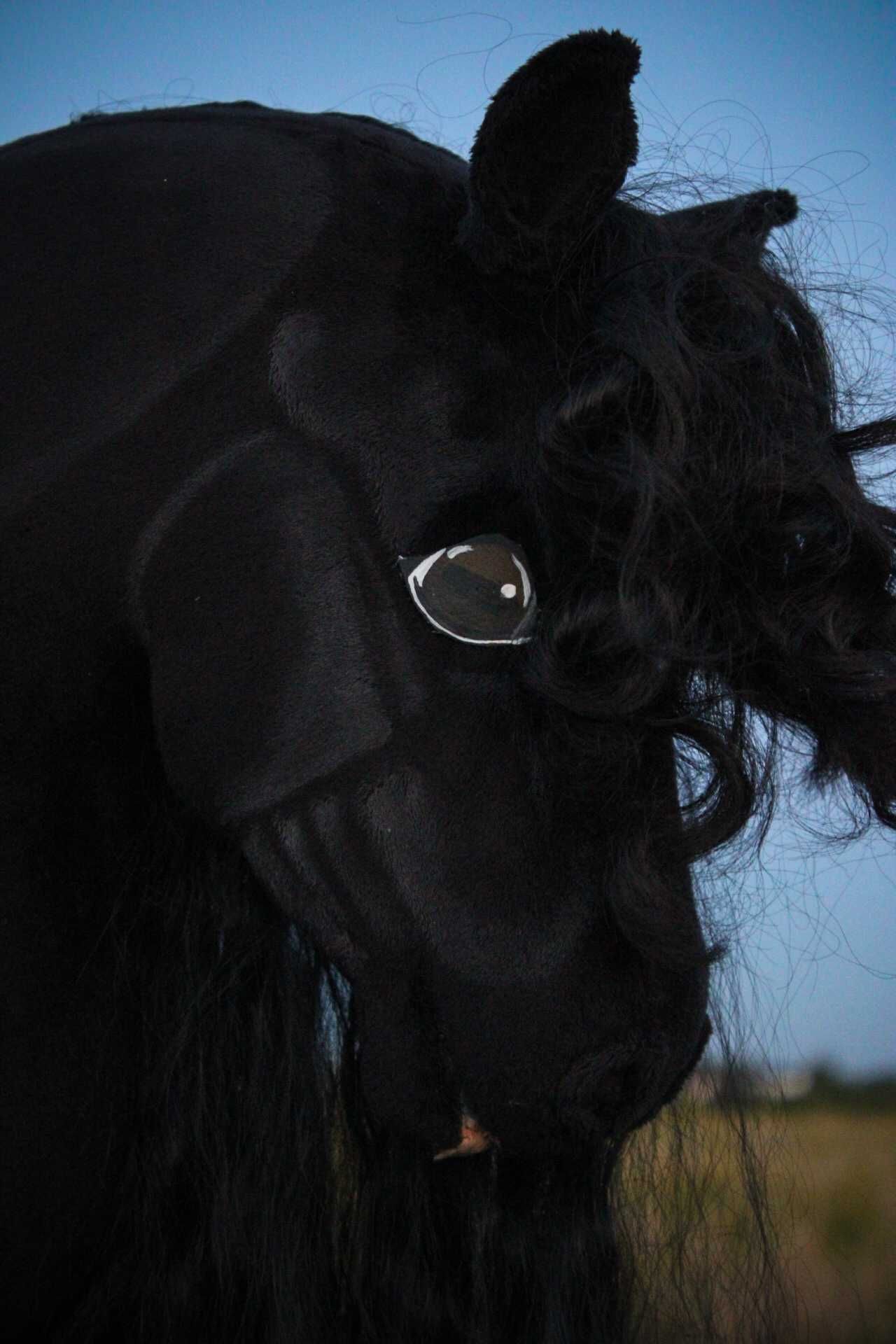 Hobby horse ujeżdżeniowy A3