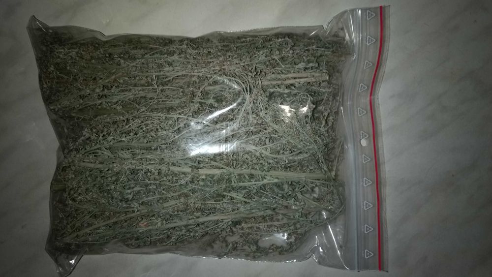 Piołun Bylica piołun suszony EKO ekologiczny 100g