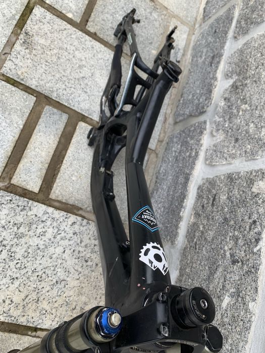 Quadro Downhill Demo 8