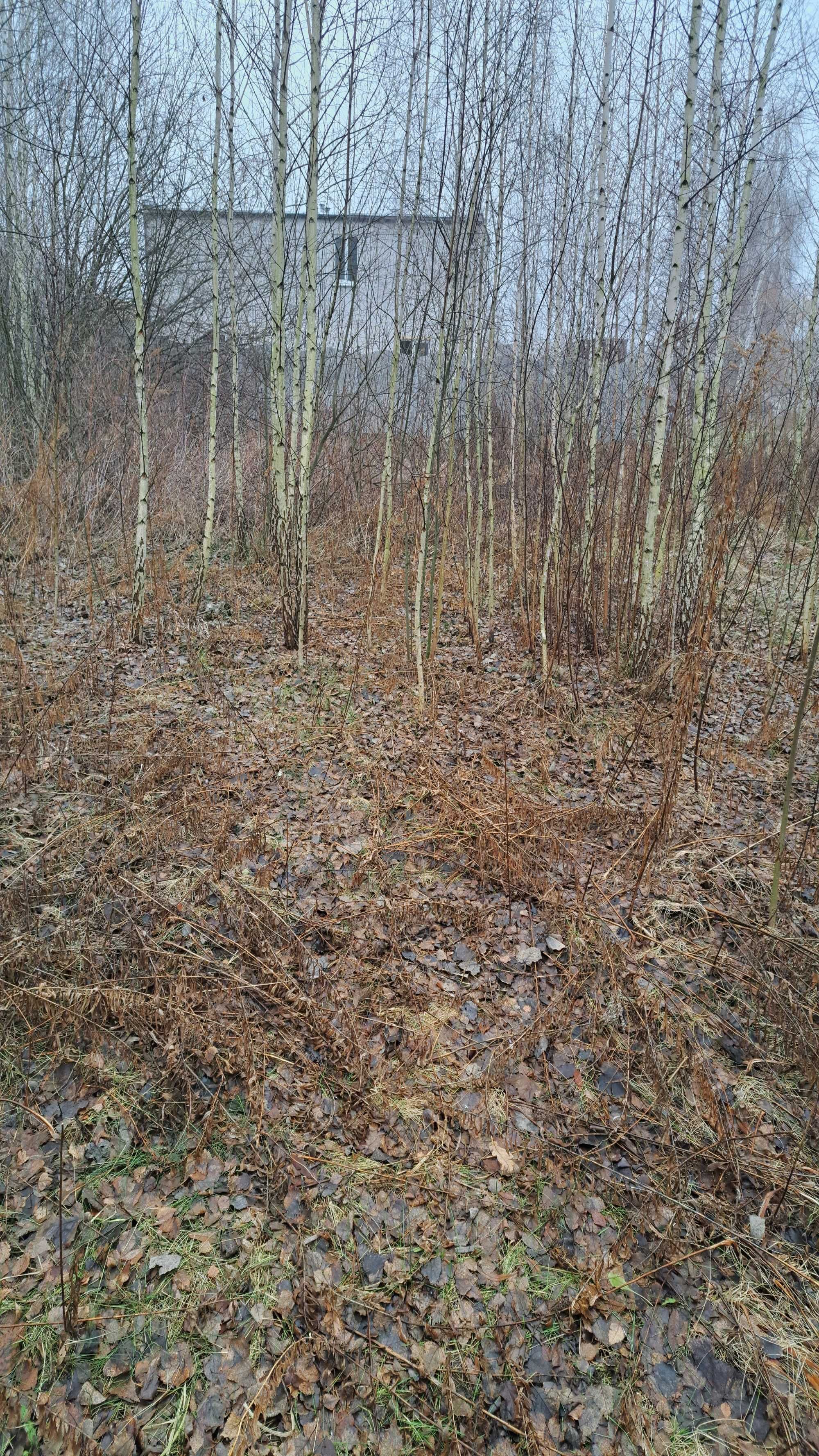 Продаж земельної ділянки в Козині (Конча-заспа) 2 лінія від р. Козинка