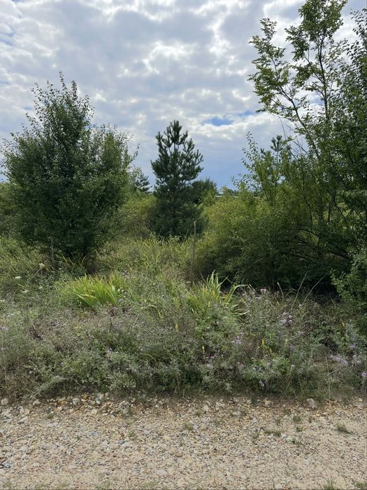 Земельна ділянка на Дністрі біля Куражина