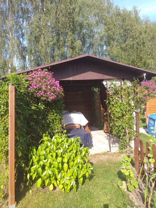 Sprzedam działkę ROD