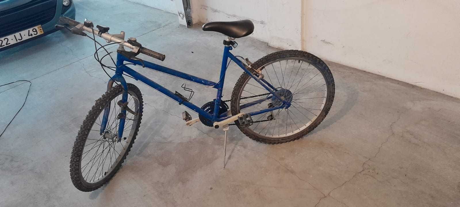 Bicicleta Adulto Azul