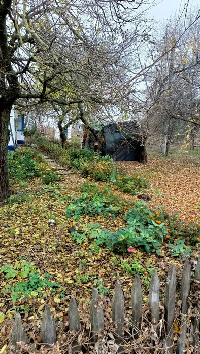 Будинок ,с.Фарбоване 10км від Яготина