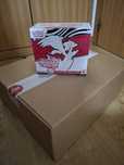 Caixa com 10 etb white flare pokemon