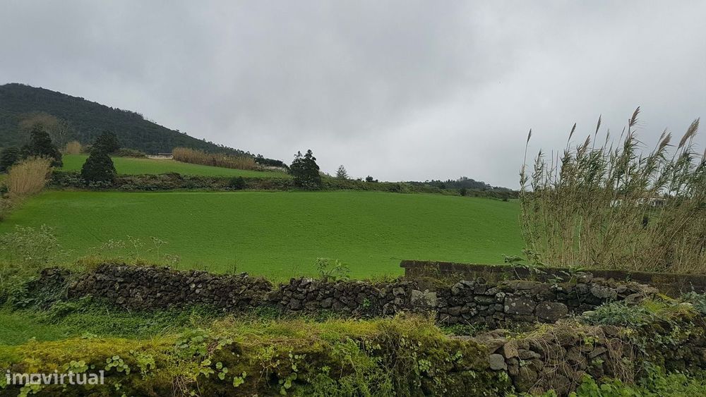Terreno rustico - Ribeira Grande