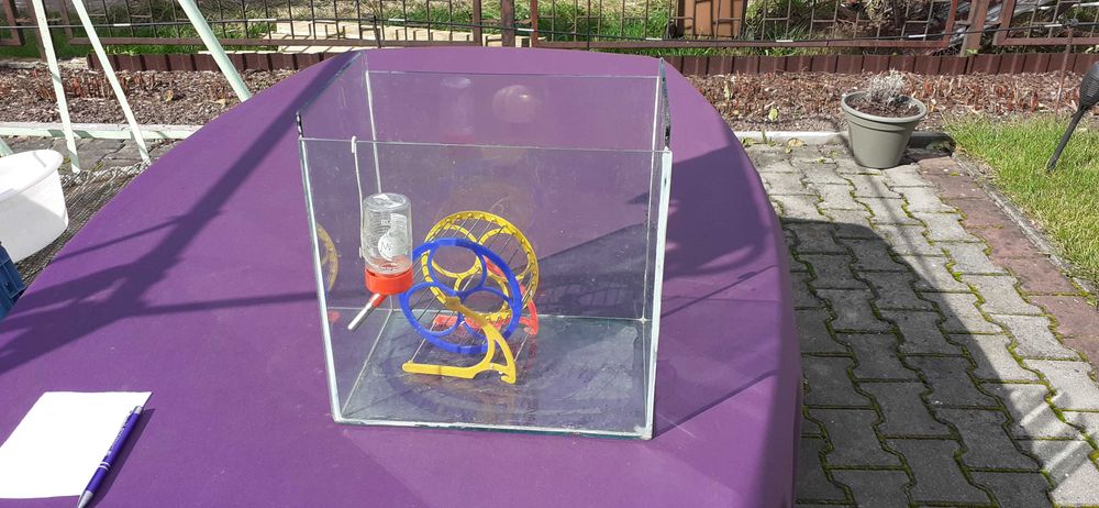 Akwarium-terarium dla gryzoni.