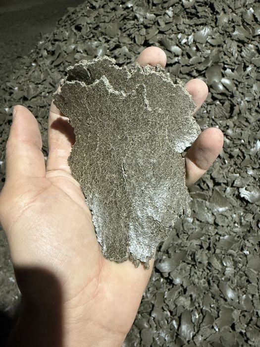 Макуха соняшникова