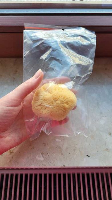 Gąbka morska, naturalna gąbka do mycia, mała