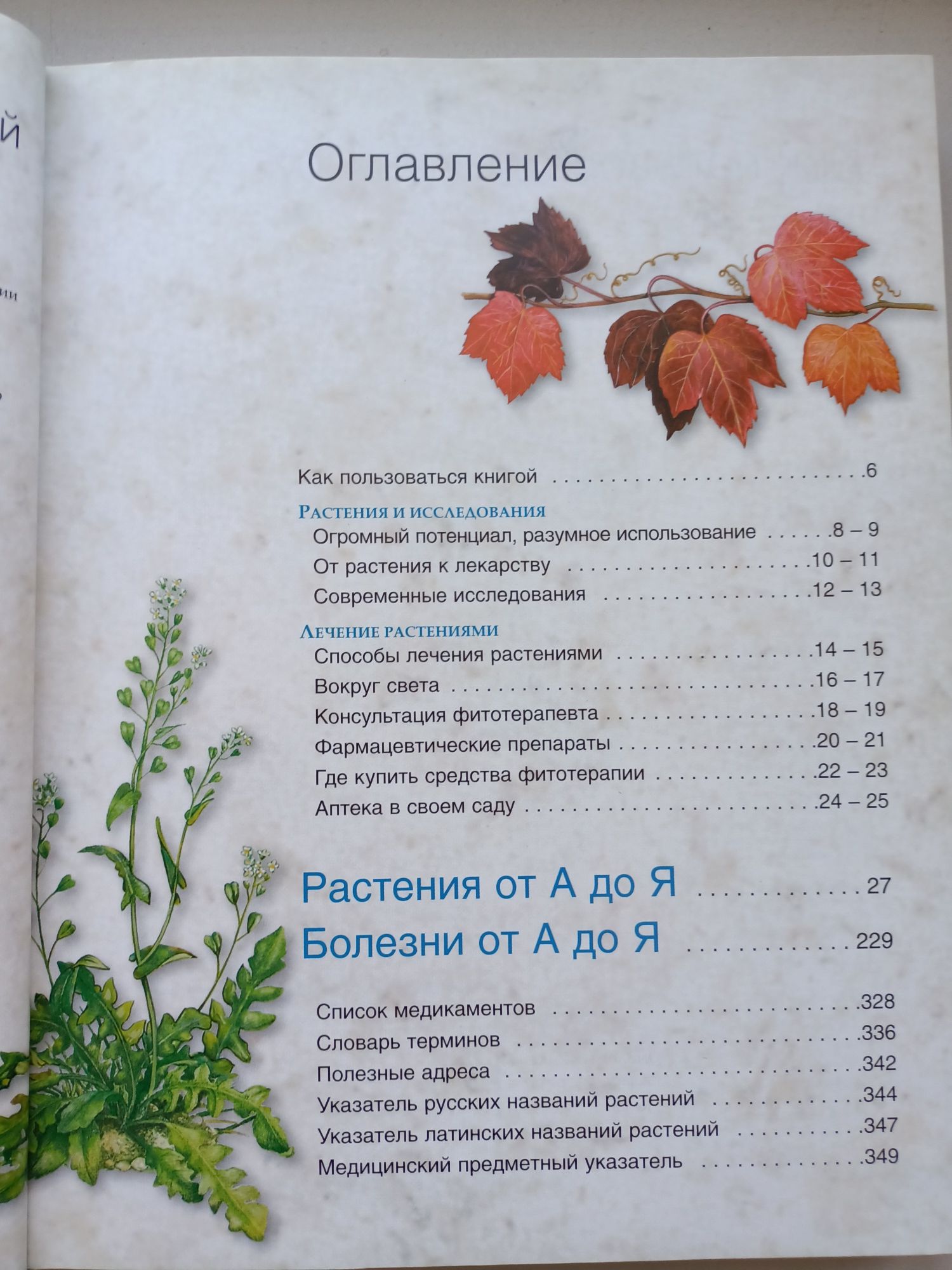Энциклопедия лекарственных растений