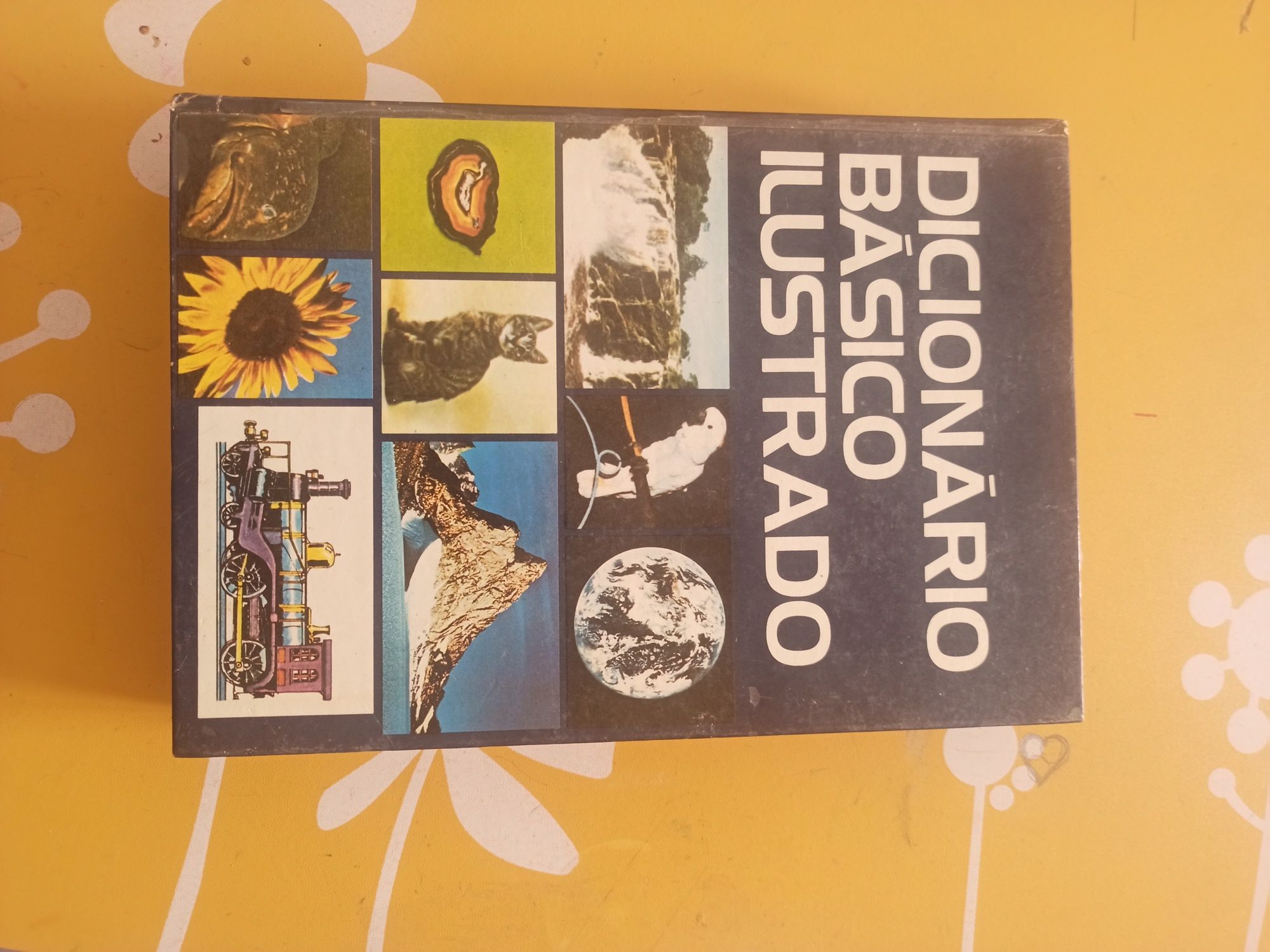 Enciclopédia e dicionário