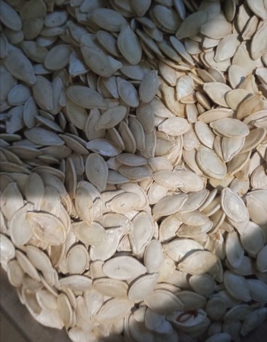 Продам. Горіхи. Насіня