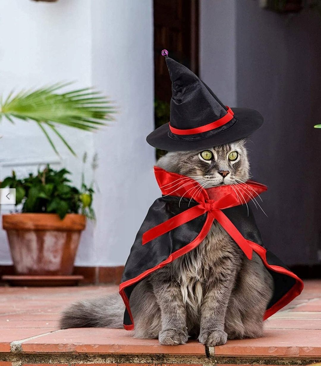 kostium halloween dla zwierzaka kota psa królika