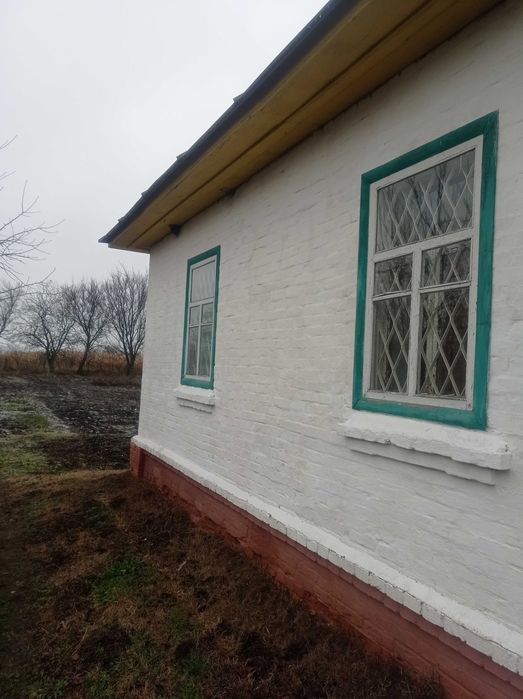 Капітальний будинок в с. Товстоліс 8 км від Чернігова