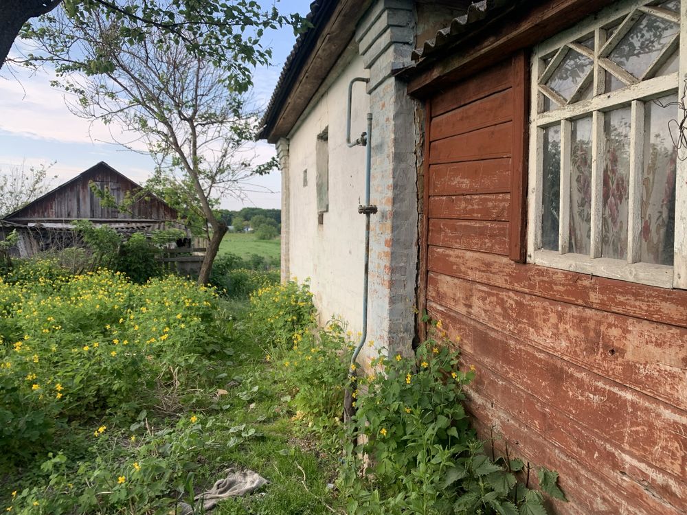 Продам будинок в селі Данівка