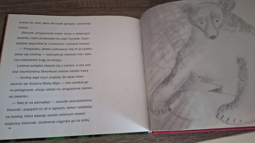 Zielony wędrowiec Liliana Bardijewska