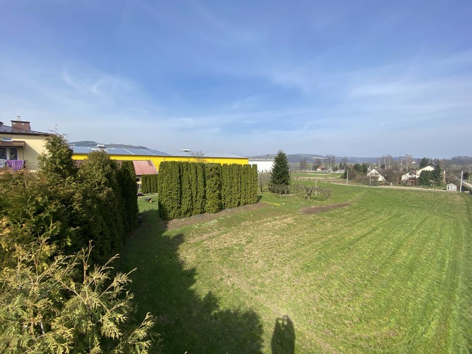 Wycinka przycinka ,czyszczenie drzew ,usługi rębakiem ,koszenie traw !