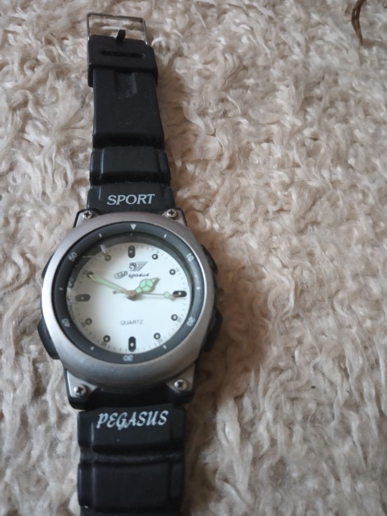 Zegarek męski Pegasus Sport